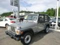 2001 Silverstone Metallic Jeep Wrangler SE 4x4 #83102828