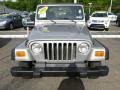 Silverstone Metallic - Wrangler SE 4x4 Photo No. 8