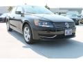 Black - Passat 2.5L SE Photo No. 1