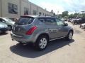 Platinum Pearl Metallic - Murano SL AWD Photo No. 5