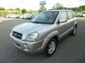 2006 Sahara Silver Hyundai Tucson Limited 4x4  photo #3