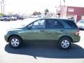 Ivy Green - Sorento LX Photo No. 2