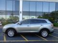 Liquid Silver Metallic - CX-9 Touring AWD Photo No. 8