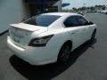 Winter Frost White - Maxima 3.5 S Photo No. 7
