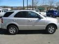 Bright Silver - Sorento LX 4x4 Photo No. 6