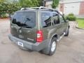 Canteen Green Metallic - Xterra XE V6 Photo No. 13