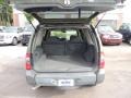 Canteen Green Metallic - Xterra XE V6 Photo No. 14