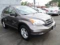 2010 Urban Titanium Metallic Honda CR-V EX AWD  photo #1