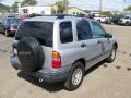 Silverleaf Metallic - Tracker  Photo No. 3