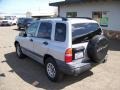 Silverleaf Metallic - Tracker  Photo No. 5