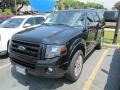 Tuxedo Black 2010 Ford Expedition Limited