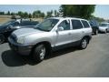 Pewter - Santa Fe GLS AWD Photo No. 4