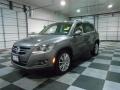 Alpine Grey Metallic - Tiguan SE 4Motion Photo No. 3