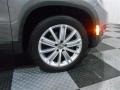 Alpine Grey Metallic - Tiguan SE 4Motion Photo No. 8