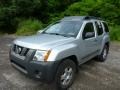 2006 Silver Lightning Metallic Nissan Xterra S 4x4  photo #3