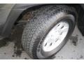 Magnetic Gray Metallic - 4Runner Trail 4x4 Photo No. 25