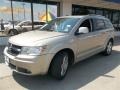 Light Sandstone Metallic 2009 Dodge Journey R/T