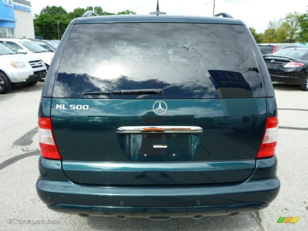 2002 ML 500 4Matic - Everest Green Metallic / Java photo #4