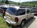 2004 Sandstone Metallic Chevrolet TrailBlazer EXT LS 4x4  photo #6