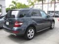 Steel Grey Metallic - ML 350 Photo No. 2