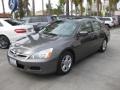 2006 Graphite Pearl Honda Accord EX Sedan  photo #5