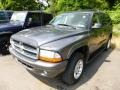 Graphite Metallic - Durango SLT 4x4 Photo No. 5