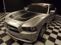 Bright Silver Metallic - Charger SE Photo No. 3