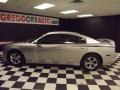 Bright Silver Metallic - Charger SE Photo No. 4