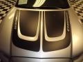Bright Silver Metallic - Charger SE Photo No. 19