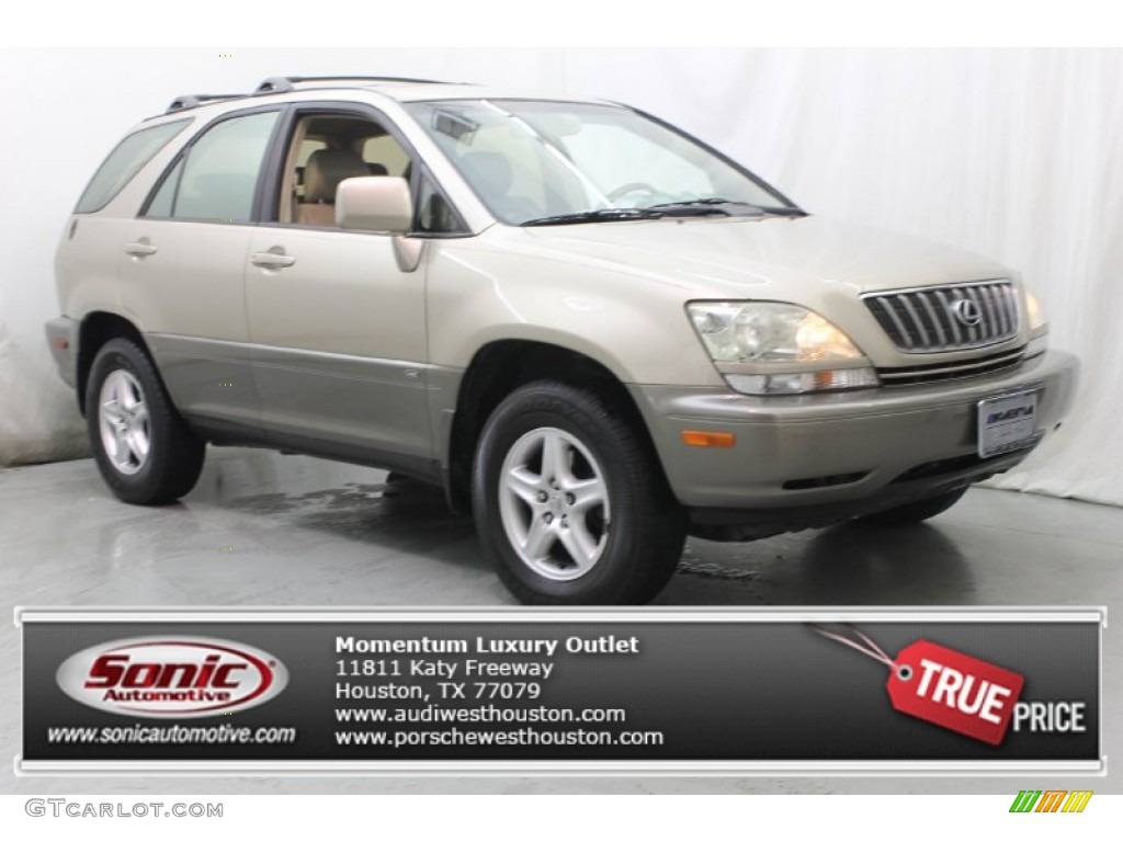 2001 RX 300 - Burnished Gold Metallic / Ivory photo #1