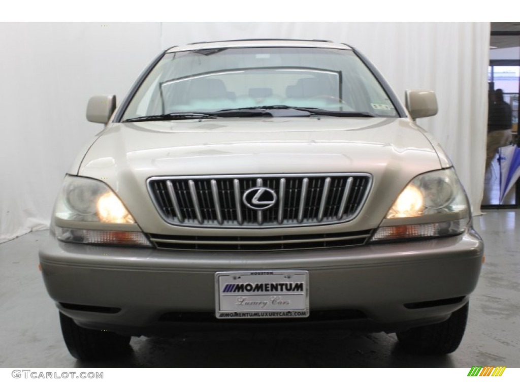 2001 RX 300 - Burnished Gold Metallic / Ivory photo #2