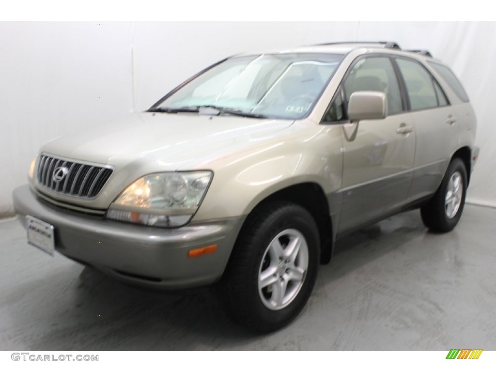 2001 RX 300 - Burnished Gold Metallic / Ivory photo #3