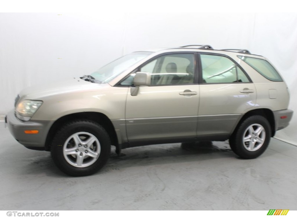 2001 RX 300 - Burnished Gold Metallic / Ivory photo #5