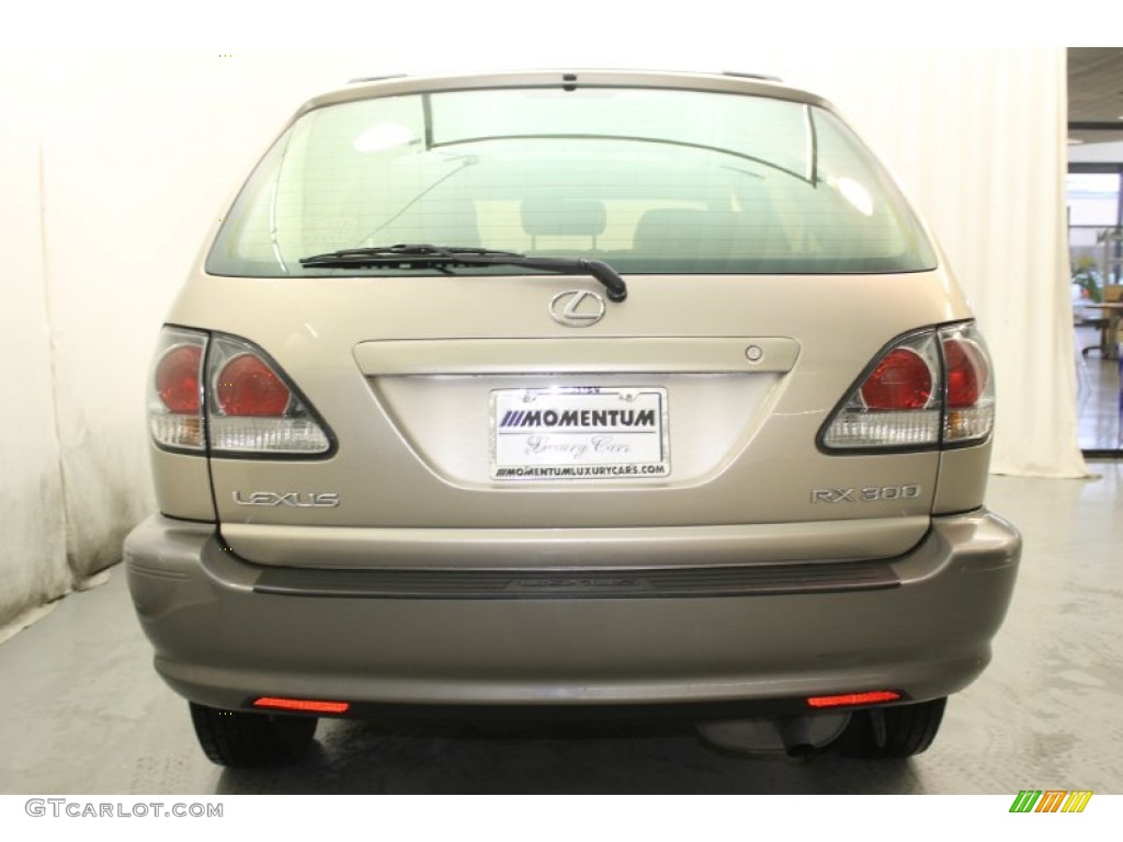 2001 RX 300 - Burnished Gold Metallic / Ivory photo #6