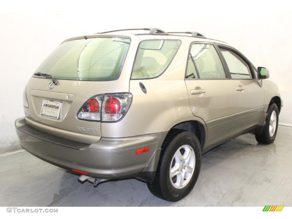 2001 RX 300 - Burnished Gold Metallic / Ivory photo #8