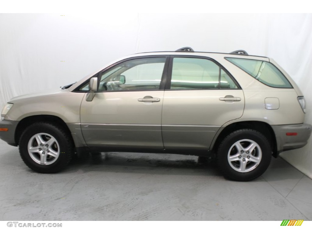 2001 RX 300 - Burnished Gold Metallic / Ivory photo #10