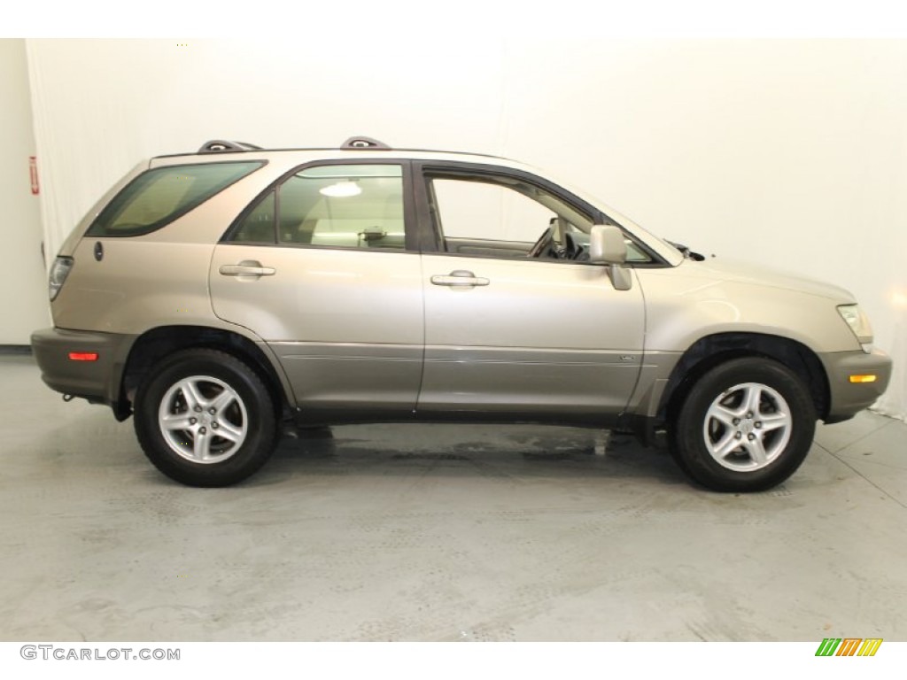 2001 RX 300 - Burnished Gold Metallic / Ivory photo #11