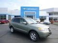 2007 Natural Khaki Green Hyundai Santa Fe GLS 4WD  photo #1