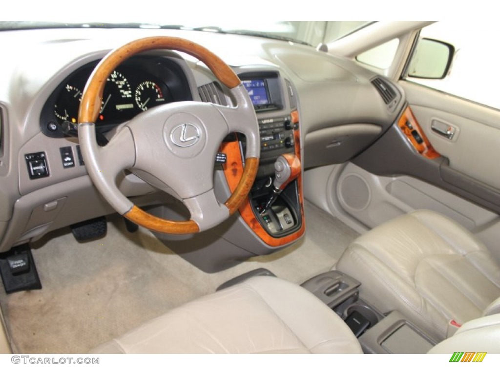 2001 RX 300 - Burnished Gold Metallic / Ivory photo #14