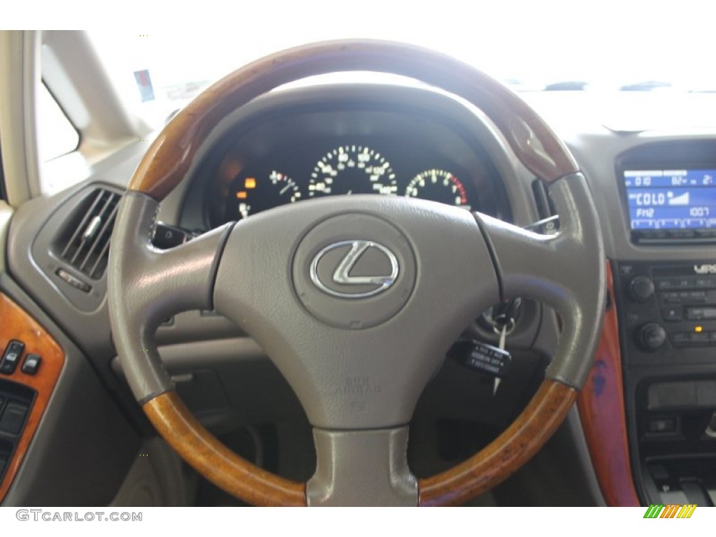 2001 RX 300 - Burnished Gold Metallic / Ivory photo #23