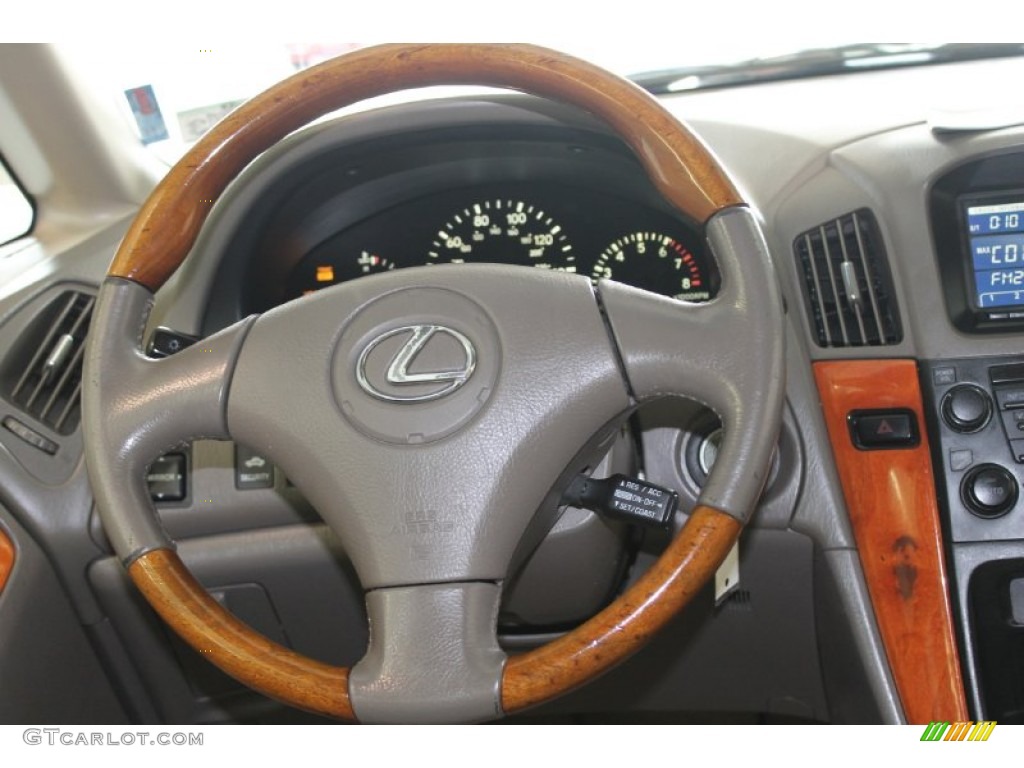 2001 RX 300 - Burnished Gold Metallic / Ivory photo #29