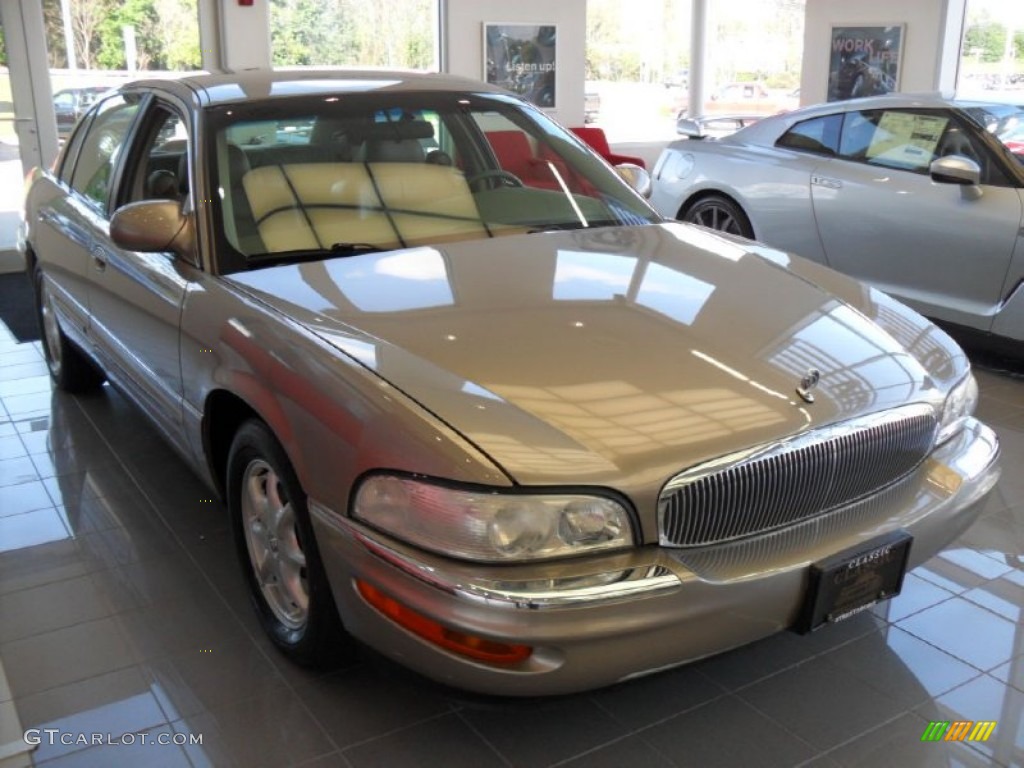 2001 Park Avenue  - Light Bronzemist Metallic / Taupe photo #4