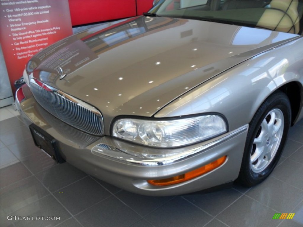 2001 Park Avenue  - Light Bronzemist Metallic / Taupe photo #7