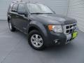 Black Pearl Slate Metallic 2008 Ford Escape Limited