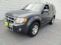 2008 Black Pearl Slate Metallic Ford Escape Limited  photo #7