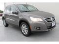 Alpine Grey Metallic - Tiguan S Photo No. 3