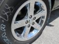 Black - 1500 Express Crew Cab Photo No. 5