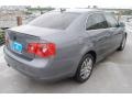 2006 Platinum Grey Metallic Volkswagen Jetta TDI Sedan  photo #7