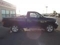 2013 True Blue Pearl Ram 1500 Express Regular Cab 4x4  photo #8