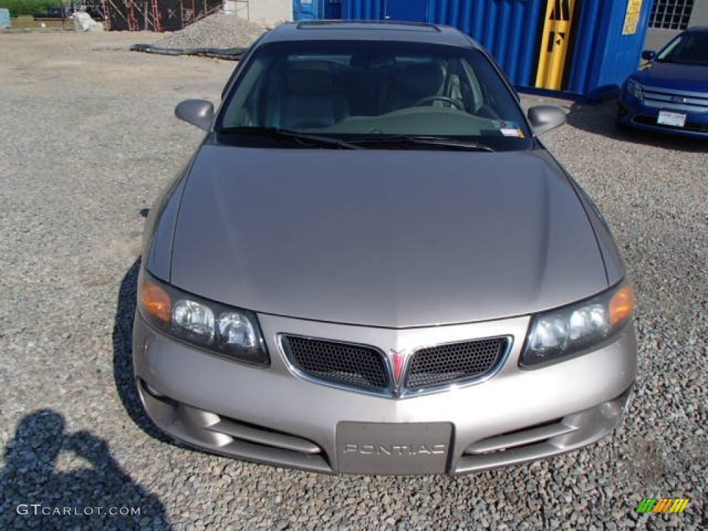 2003 Bonneville SE - Light Bronzemist Metallic / Taupe photo #2